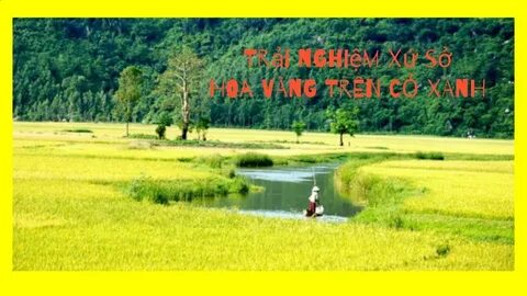 Cách Khởi Nghiệp Kiếm Tiền Bán Thời Gian Dành Cho Người Mới_video phỏng vấn khách hàng